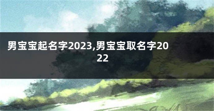 男宝宝起名字2023,男宝宝取名字2022