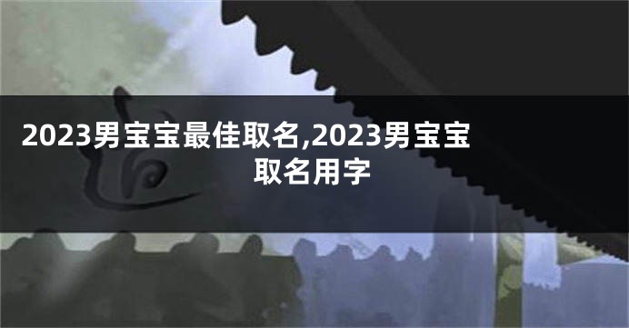 2023男宝宝最佳取名,2023男宝宝取名用字