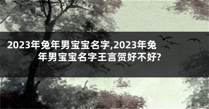 2023年兔年男宝宝名字,2023年兔年男宝宝名字王言贺好不好?