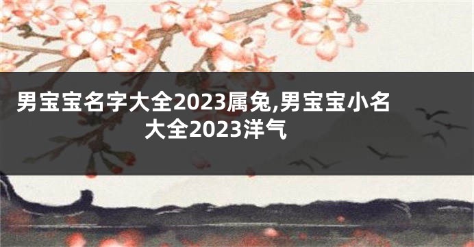 男宝宝名字大全2023属兔,男宝宝小名大全2023洋气