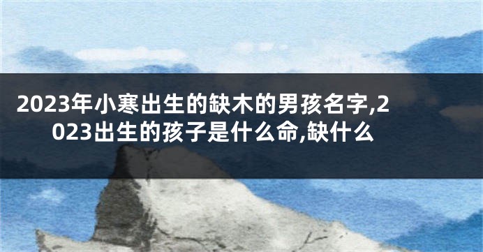 2023年小寒出生的缺木的男孩名字,2023出生的孩子是什么命,缺什么
