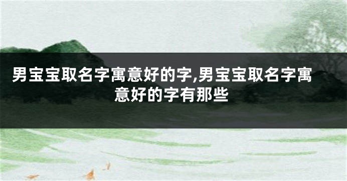 男宝宝取名字寓意好的字,男宝宝取名字寓意好的字有那些