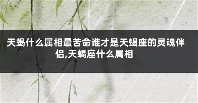 天蝎什么属相最苦命谁才是天蝎座的灵魂伴侣,天蝎座什么属相