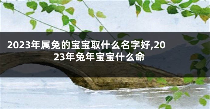 2023年属兔的宝宝取什么名字好,2023年兔年宝宝什么命