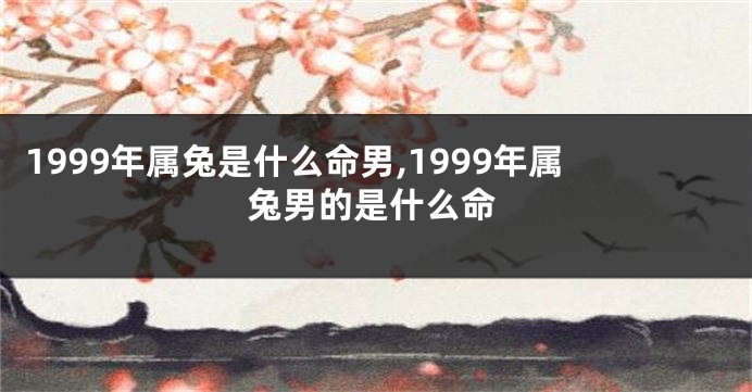 1999年属兔是什么命男,1999年属兔男的是什么命