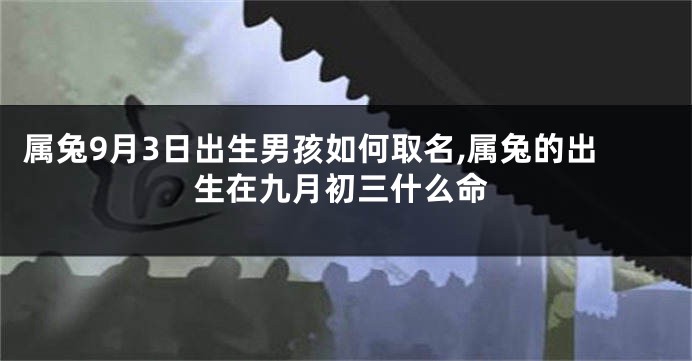属兔9月3日出生男孩如何取名,属兔的出生在九月初三什么命