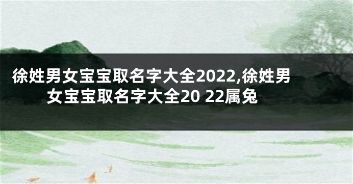 徐姓男女宝宝取名字大全2022,徐姓男女宝宝取名字大全20 22属兔