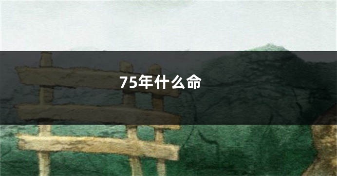 75年什么命