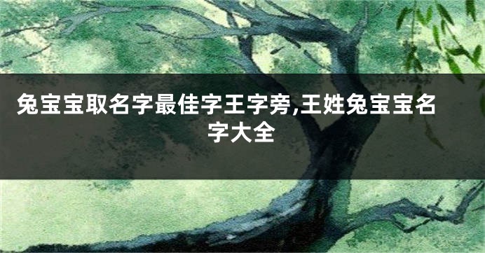 兔宝宝取名字最佳字王字旁,王姓兔宝宝名字大全