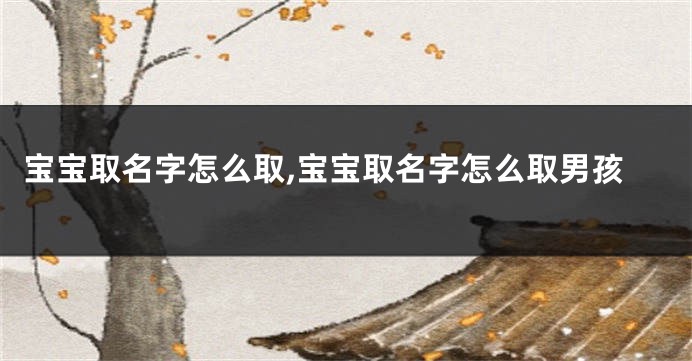 宝宝取名字怎么取,宝宝取名字怎么取男孩