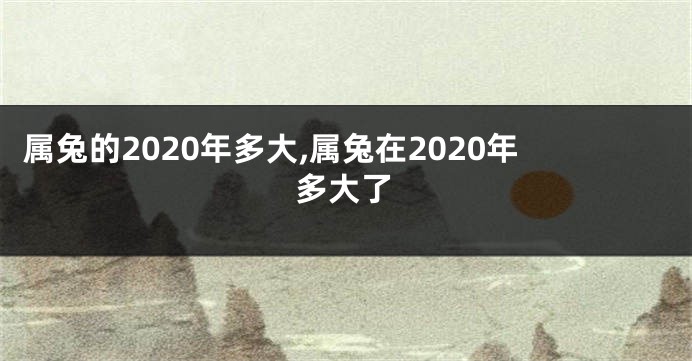 属兔的2020年多大,属兔在2020年多大了