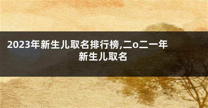 2023年新生儿取名排行榜,二o二一年新生儿取名