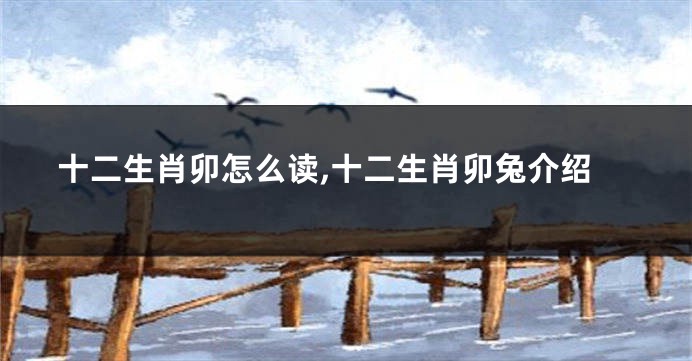 十二生肖卯怎么读,十二生肖卯兔介绍