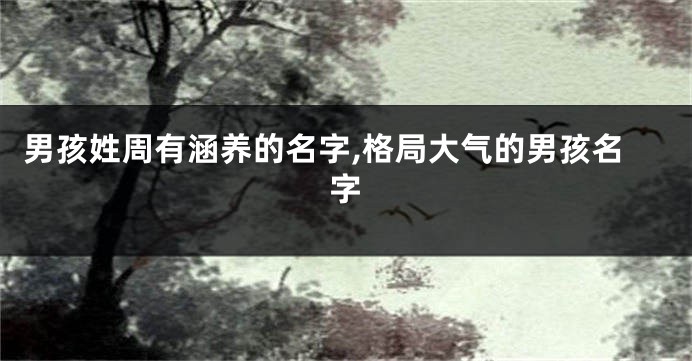 男孩姓周有涵养的名字,格局大气的男孩名字