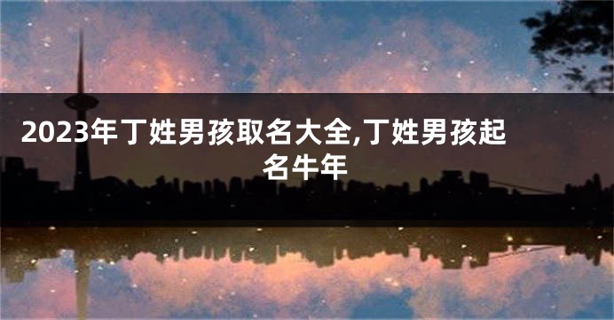 2023年丁姓男孩取名大全,丁姓男孩起名牛年