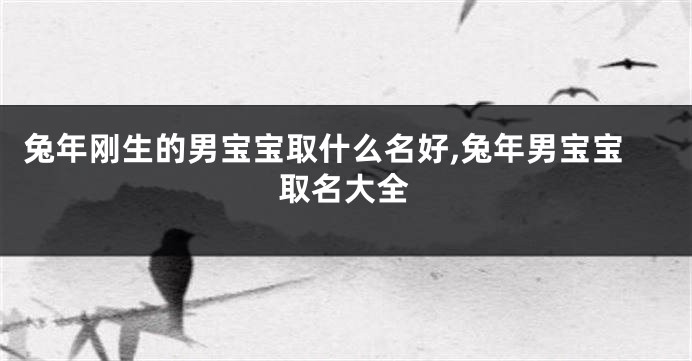 兔年刚生的男宝宝取什么名好,兔年男宝宝取名大全