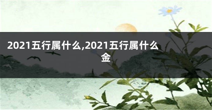 2021五行属什么,2021五行属什么金