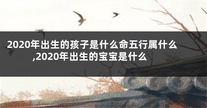 2020年出生的孩子是什么命五行属什么,2020年出生的宝宝是什么