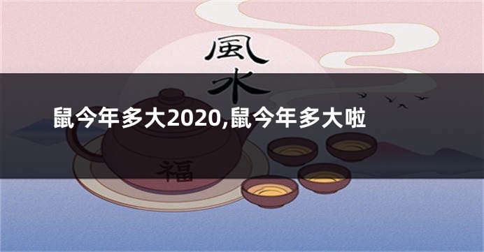 鼠今年多大2020,鼠今年多大啦