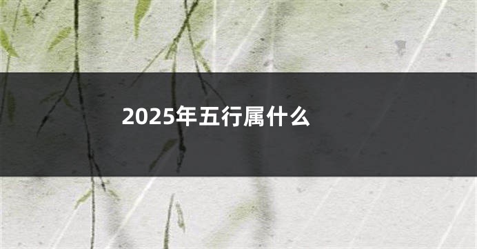 2025年五行属什么