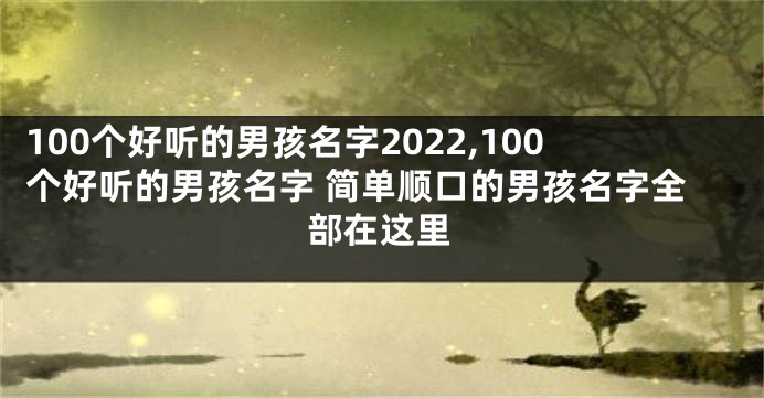 100个好听的男孩名字2022,100个好听的男孩名字 简单顺口的男孩名字全部在这里