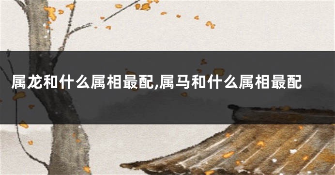 属龙和什么属相最配,属马和什么属相最配