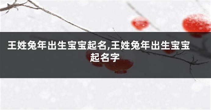 王姓兔年出生宝宝起名,王姓兔年出生宝宝起名字