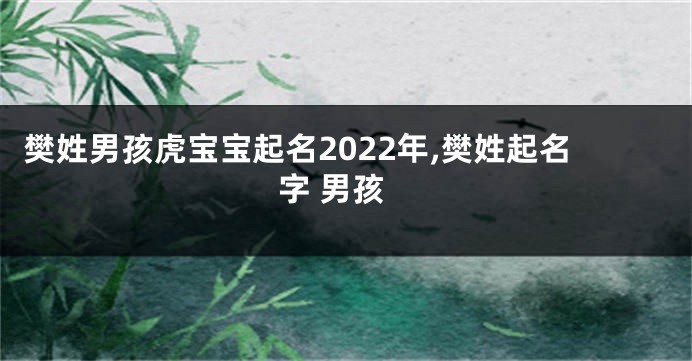 樊姓男孩虎宝宝起名2022年,樊姓起名字 男孩