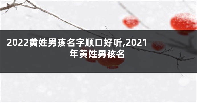 2022黄姓男孩名字顺口好听,2021年黄姓男孩名
