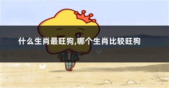什么生肖最旺狗,哪个生肖比较旺狗