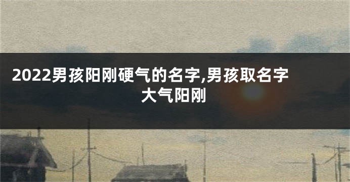 2022男孩阳刚硬气的名字,男孩取名字大气阳刚