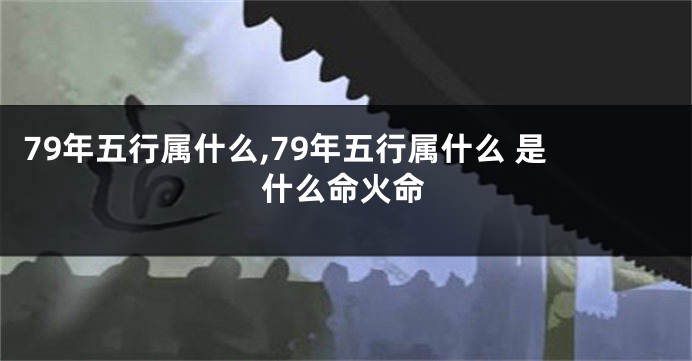 79年五行属什么,79年五行属什么 是什么命火命