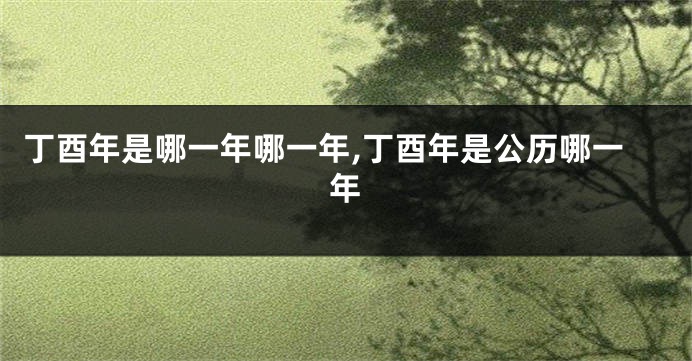 丁酉年是哪一年哪一年,丁酉年是公历哪一年