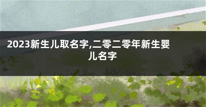 2023新生儿取名字,二零二零年新生婴儿名字
