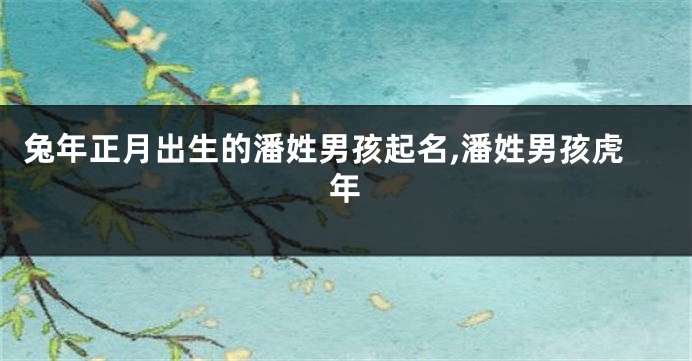 兔年正月出生的潘姓男孩起名,潘姓男孩虎年