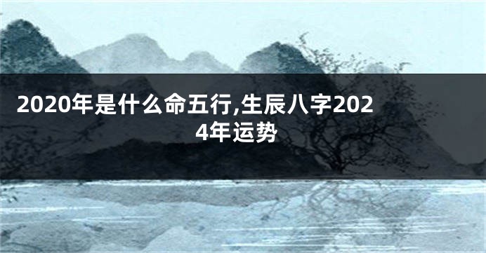 2020年是什么命五行,生辰八字2024年运势