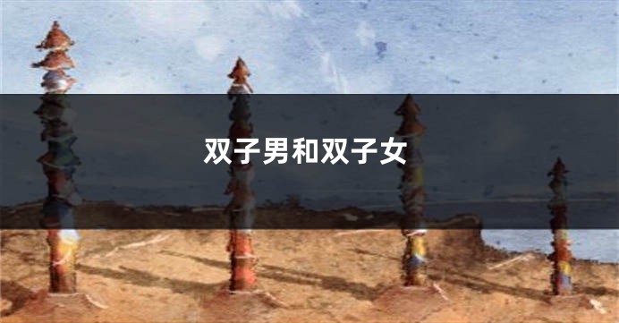 双子男和双子女