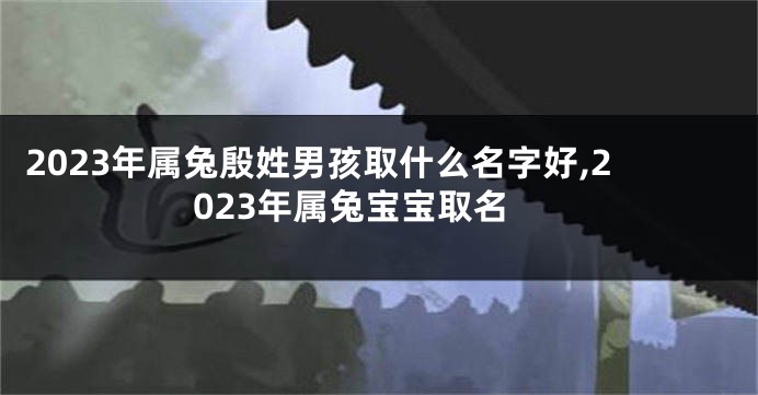 2023年属兔殷姓男孩取什么名字好,2023年属兔宝宝取名