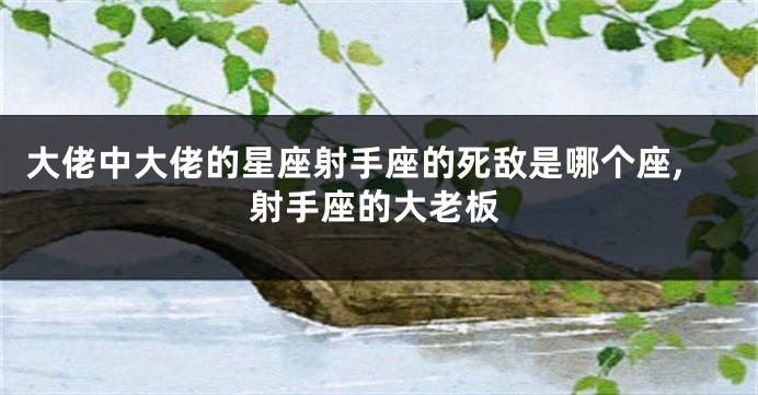 大佬中大佬的星座射手座的死敌是哪个座,射手座的大老板