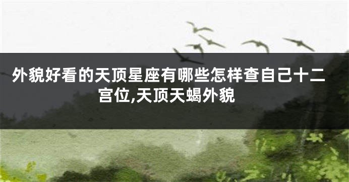外貌好看的天顶星座有哪些怎样查自己十二宫位,天顶天蝎外貌