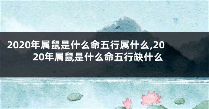 2020年属鼠是什么命五行属什么,2020年属鼠是什么命五行缺什么