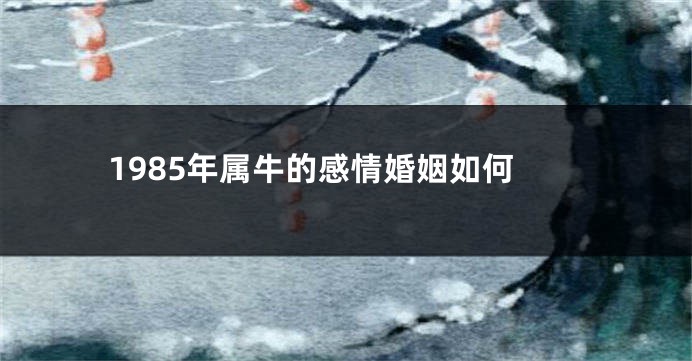 1985年属牛的感情婚姻如何