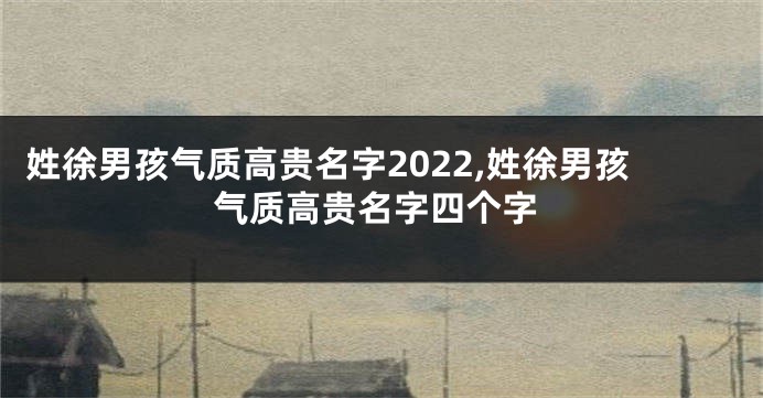 姓徐男孩气质高贵名字2022,姓徐男孩气质高贵名字四个字