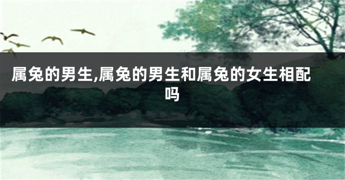 属兔的男生,属兔的男生和属兔的女生相配吗