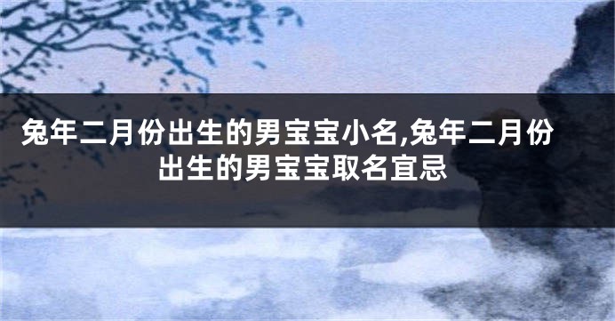 兔年二月份出生的男宝宝小名,兔年二月份出生的男宝宝取名宜忌
