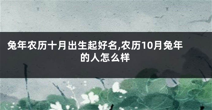 兔年农历十月出生起好名,农历10月兔年的人怎么样