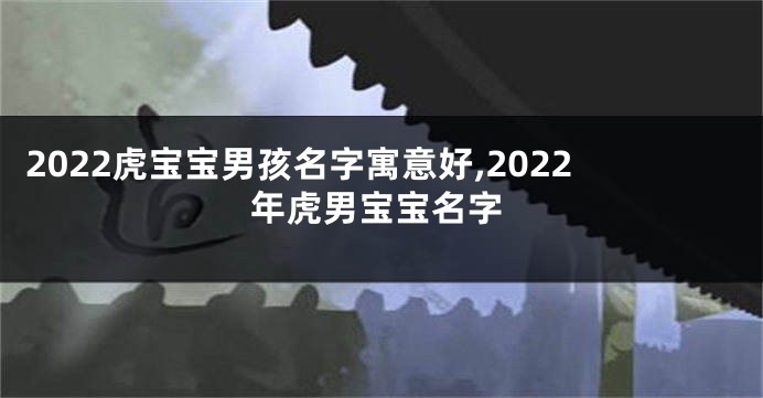 2022虎宝宝男孩名字寓意好,2022年虎男宝宝名字