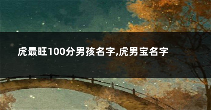 虎最旺100分男孩名字,虎男宝名字