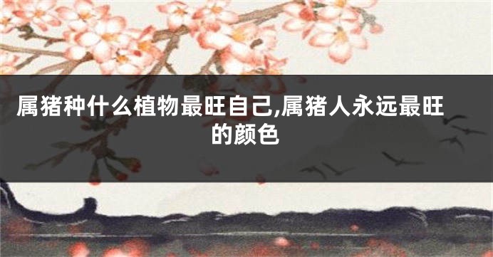 属猪种什么植物最旺自己,属猪人永远最旺的颜色