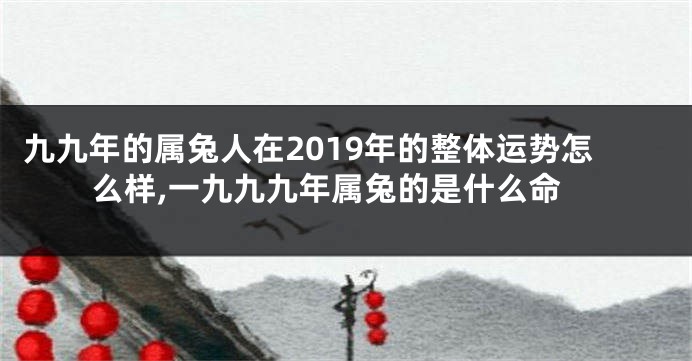 九九年的属兔人在2019年的整体运势怎么样,一九九九年属兔的是什么命